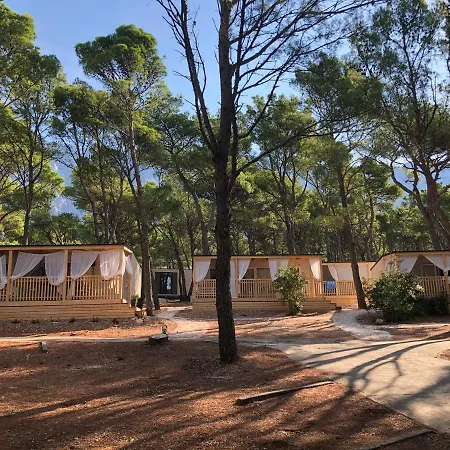 Campsite Veda Mobile